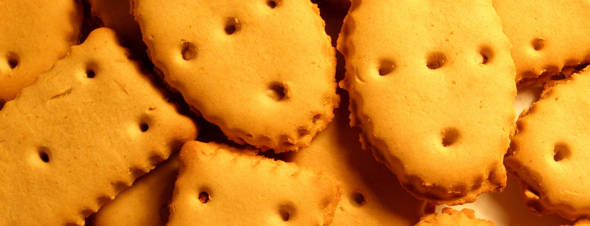 Informativa sull'utilizzo dei cookie